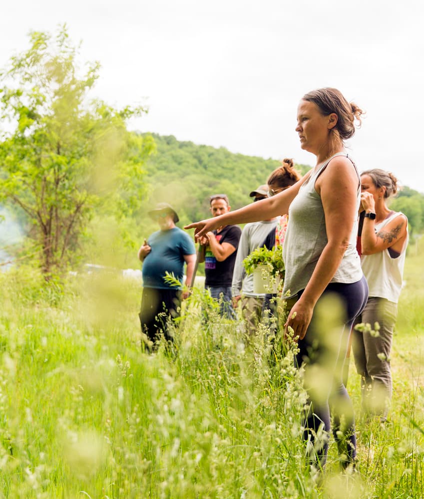 Site visit of class to another permaculturist's home